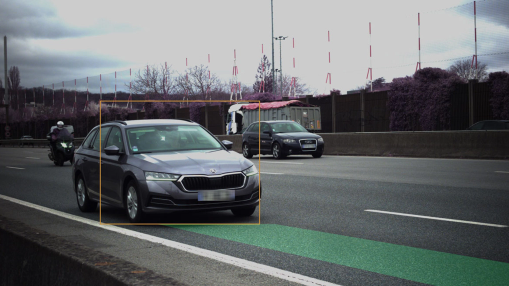 Parifex - Identification